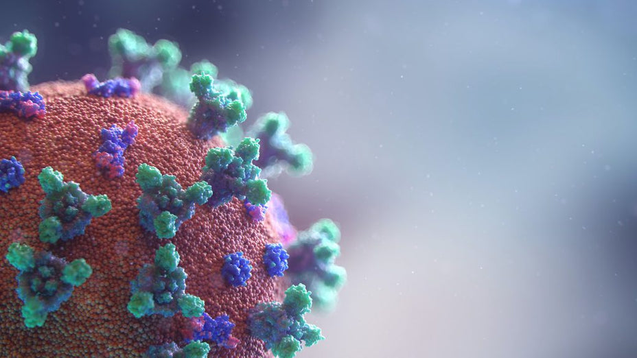 Will the Coronavirus Be Around Forever, Like the Flu?