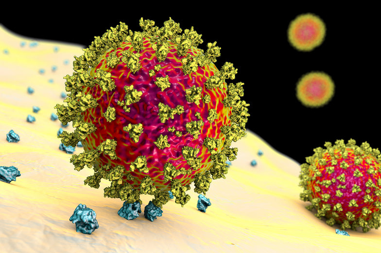The CDC Warns that Coronavirus Variants Could Cause Rapid Rise in Cases